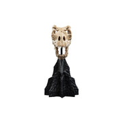 WETA - The Lord of the Rings Trilogy - Skull of a Fell Beast