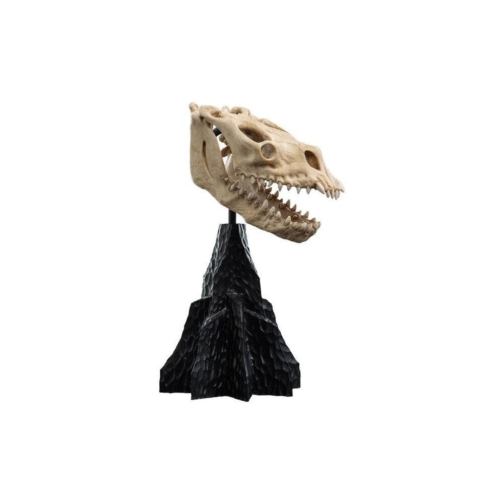 WETA - The Lord of the Rings Trilogy - Skull of a Fell Beast