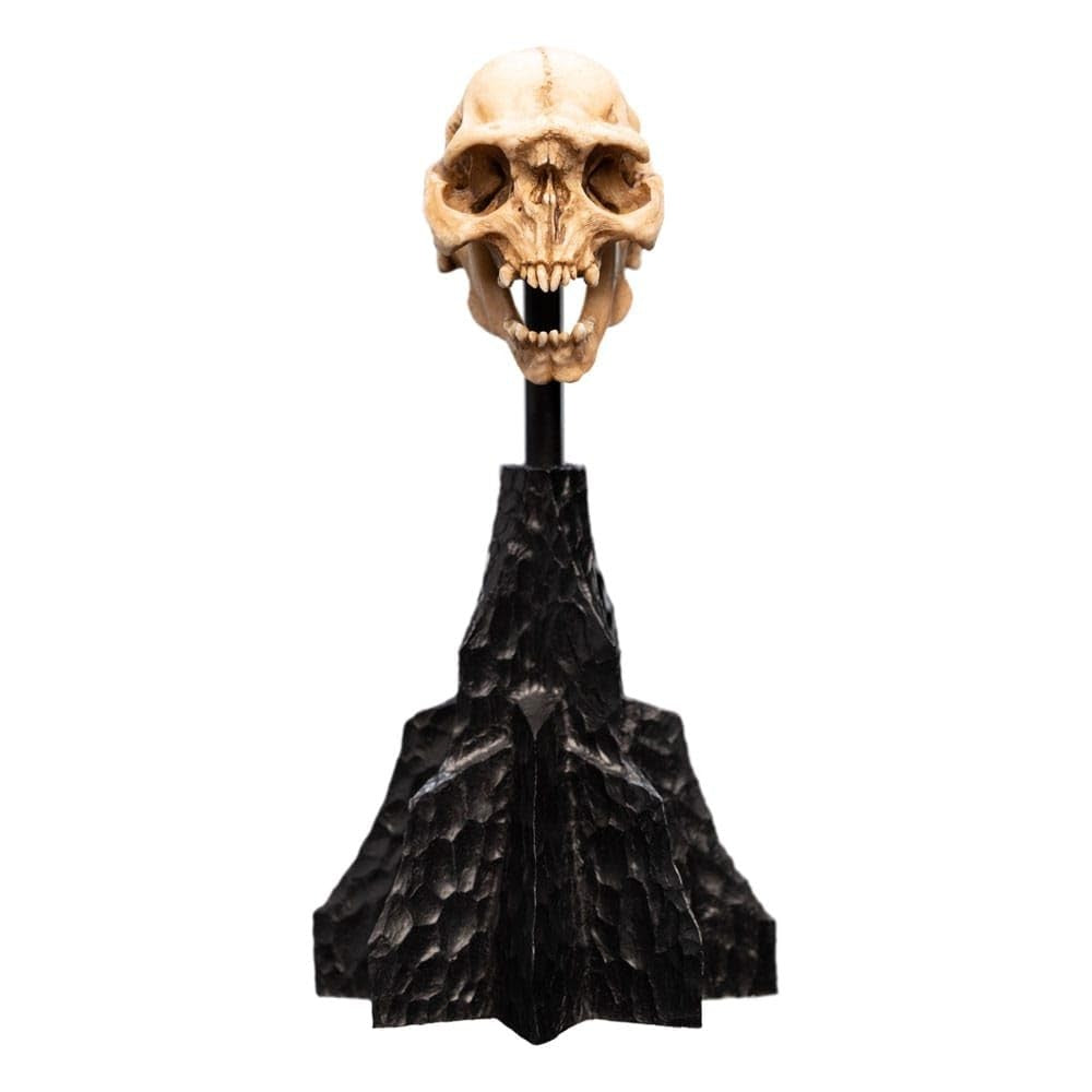 WETA - The Lord of the Rings Trilogy - Skull of a Moria Orc