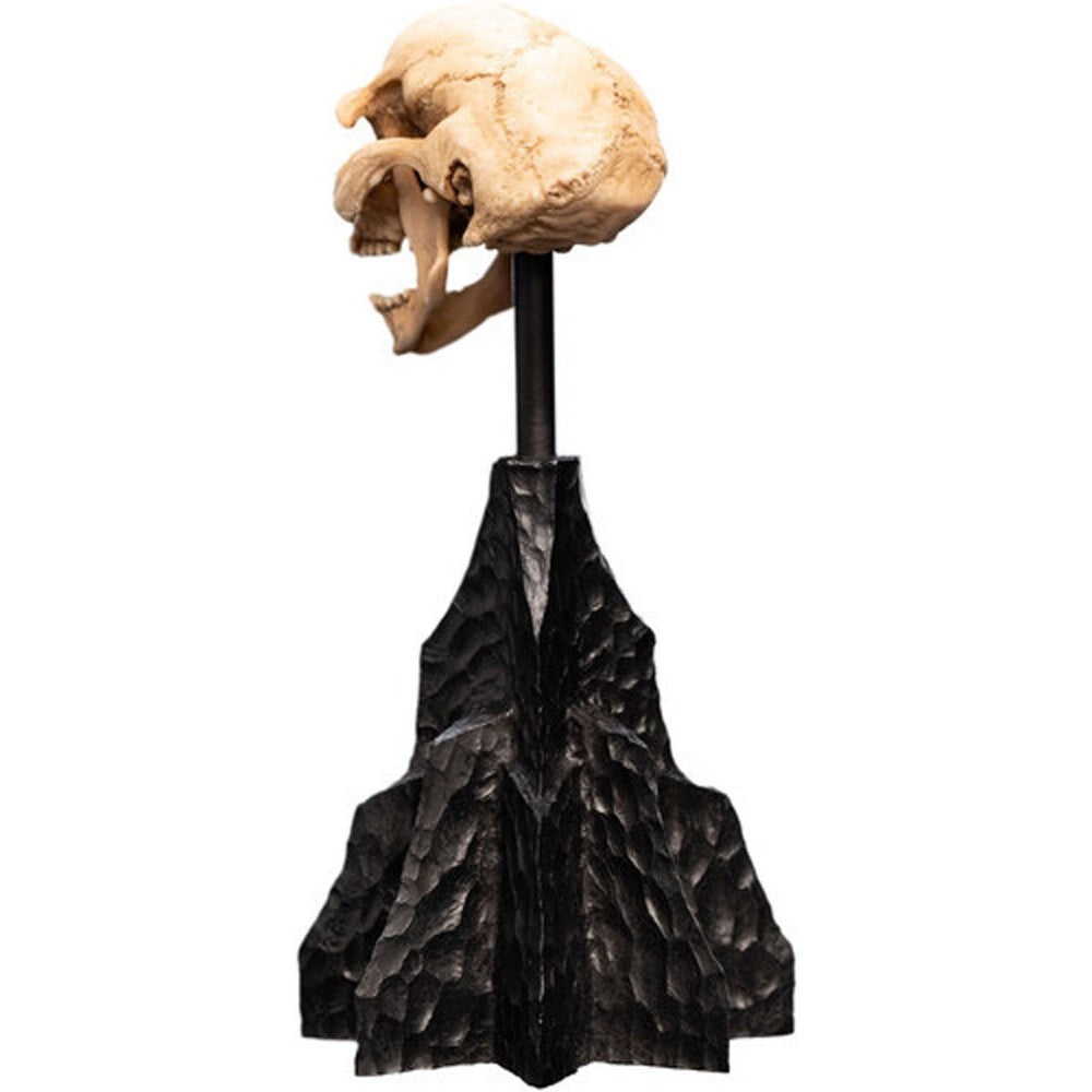 WETA - The Lord of the Rings Trilogy - Skull of a Moria Orc