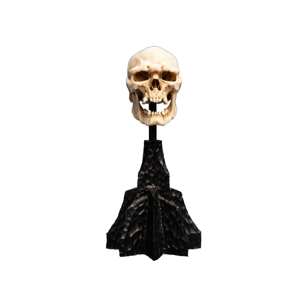 WETA - The Lord of the Rings Trilogy - Skull of a Mordor Orc
