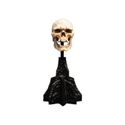 WETA - The Lord of the Rings Trilogy - Skull of a Mordor Orc
