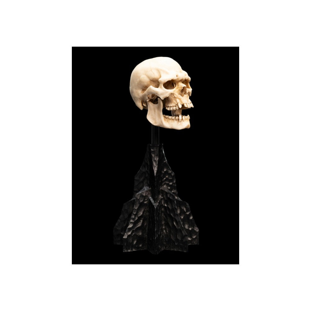 WETA - The Lord of the Rings Trilogy - Skull of a Mordor Orc