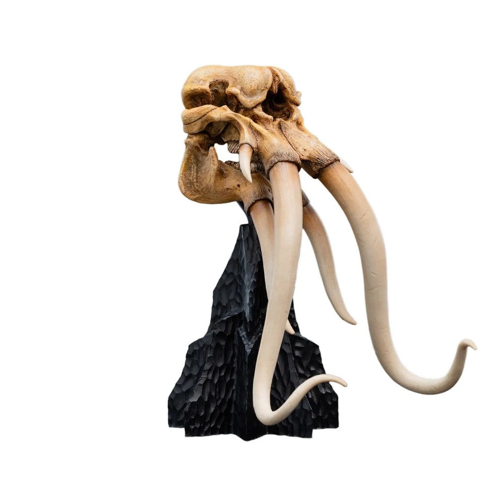 WETA - The Lord of the Rings Trilogy - Skull of a Mumak