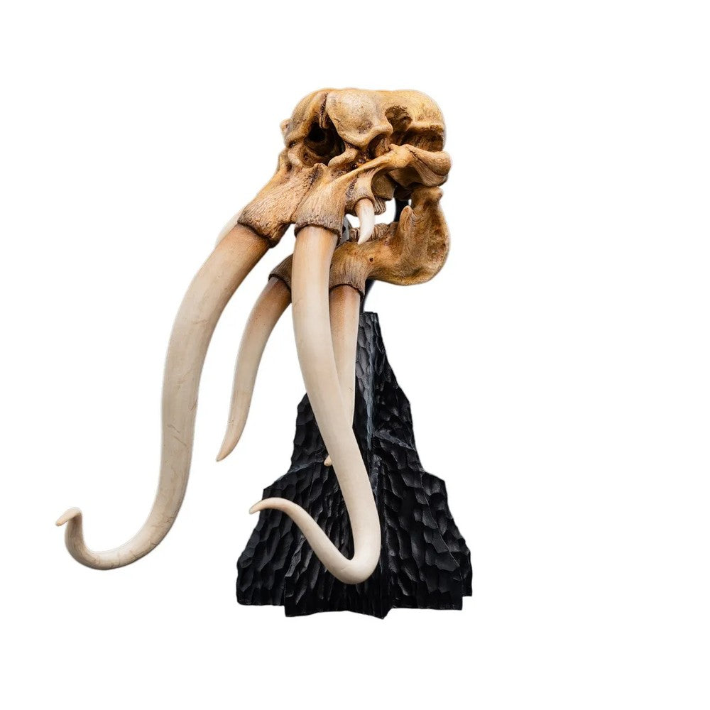 WETA - The Lord of the Rings Trilogy - Skull of a Mumak