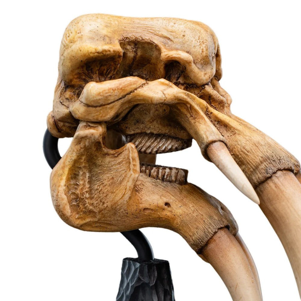 WETA - The Lord of the Rings Trilogy - Skull of a Mumak