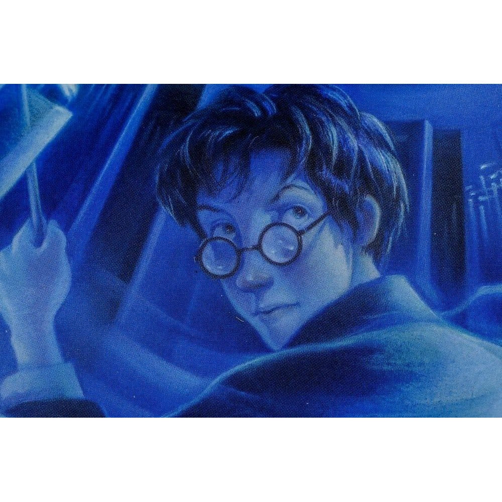 Harry Potter: Book Inspired Coasters (Set of 7)