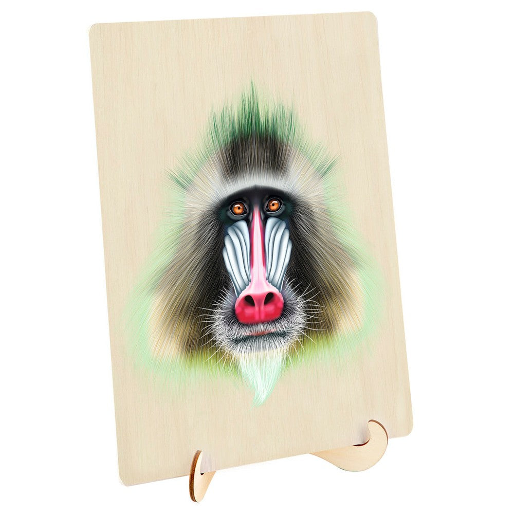 Puzzle - BMS - Baboon