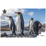 Puzzle - BMS - Penguins