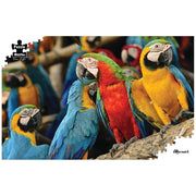 Puzzle - BMS - Macaws