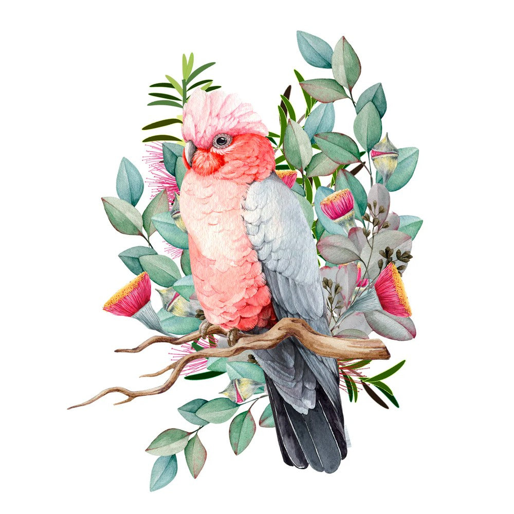 Puzzle - BMS - Australian Geographic Galah