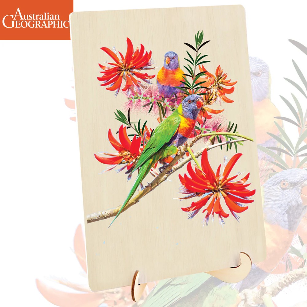 Puzzle - BMS - Australian Geographic Lorikeets