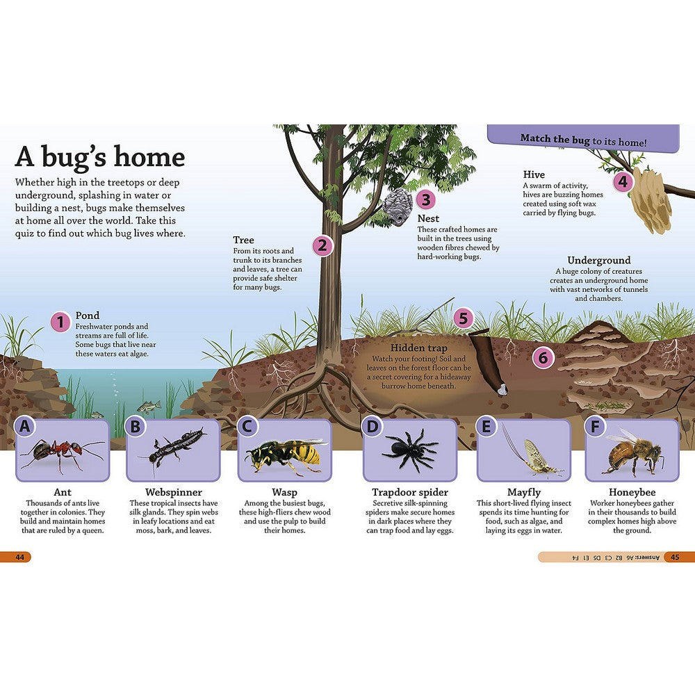 DK Findout! Bugs