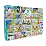 Puzzle - Gibsons - RSPB: Birdsong & Bluebells (1000)