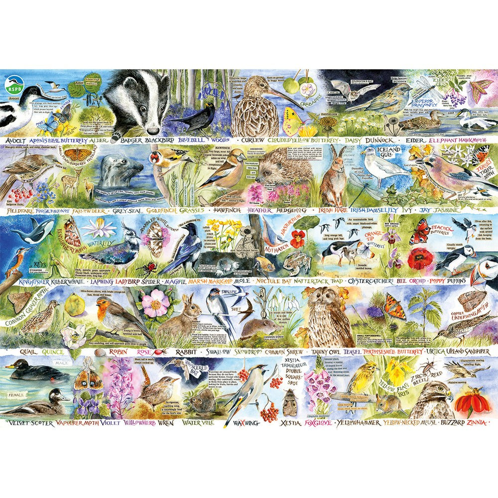 Puzzle - Gibsons - RSPB: Birdsong & Bluebells (1000)