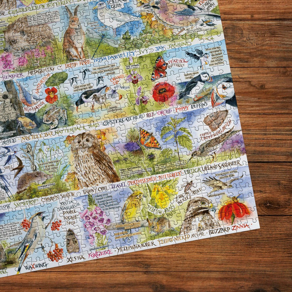 Puzzle - Gibsons - RSPB: Birdsong & Bluebells (1000)