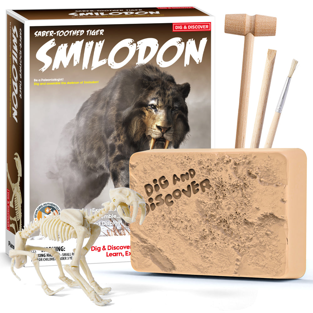 Smilodon (Saber-Tooth Tiger) Dig Kits