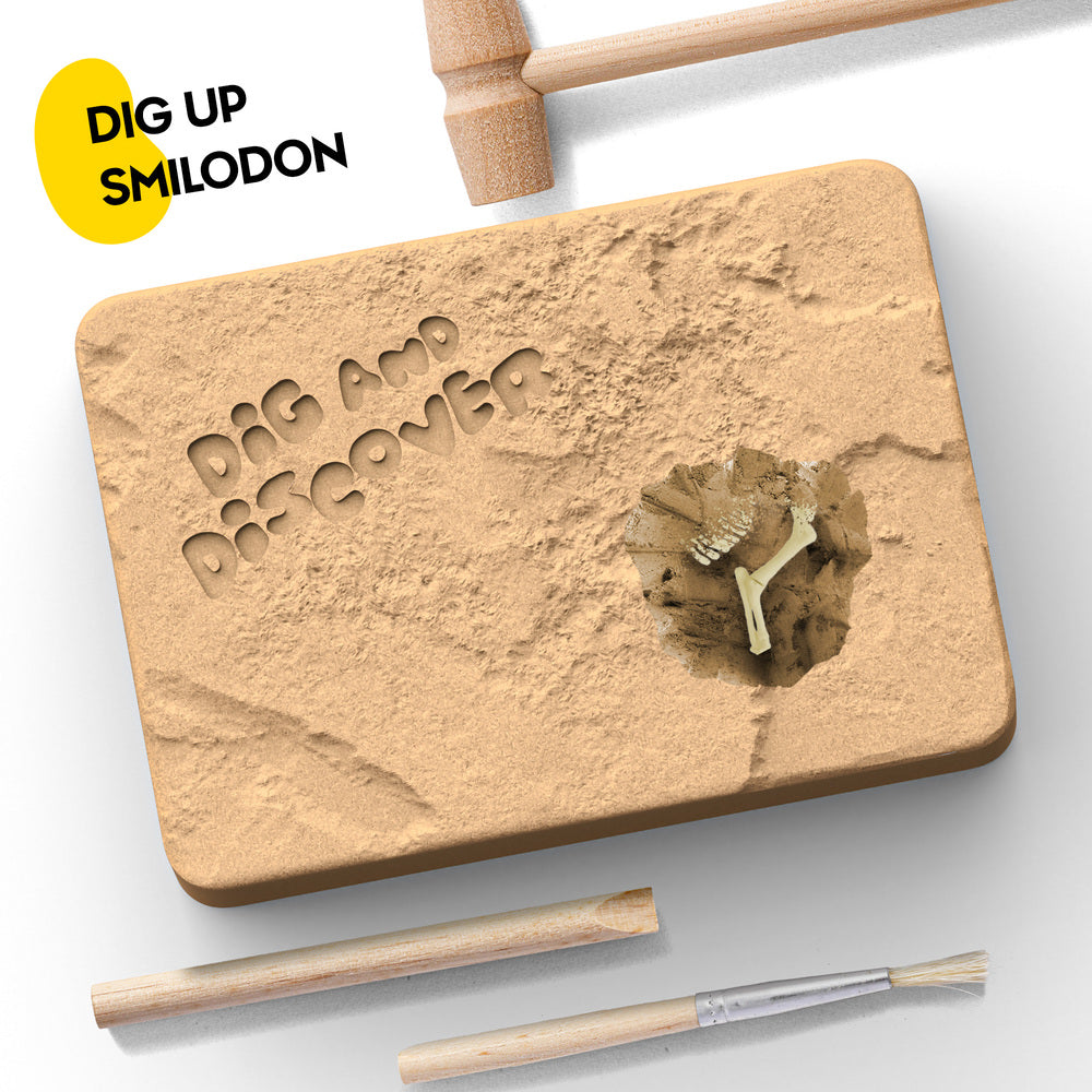 Smilodon (Saber-Tooth Tiger) Dig Kits
