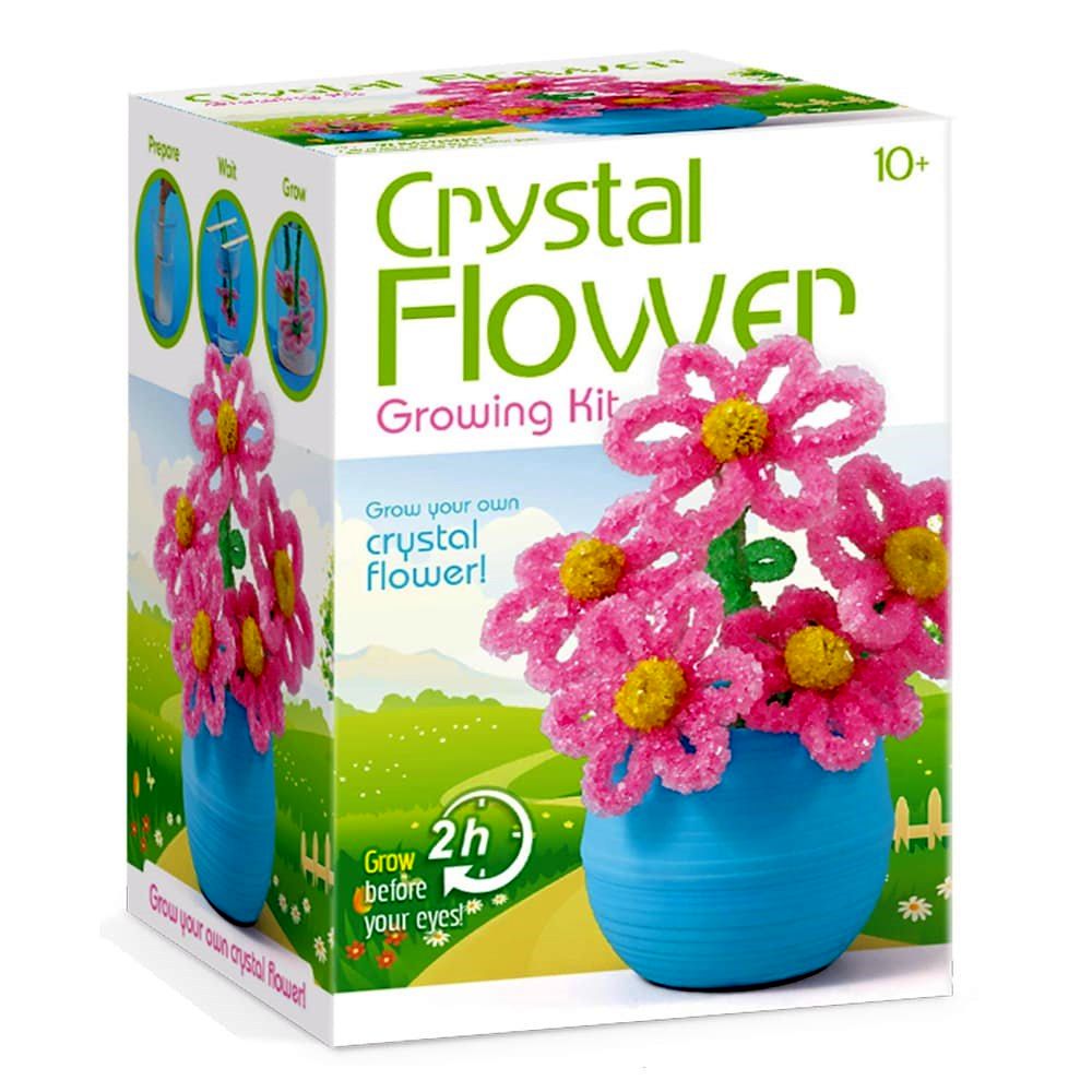 Crystal Flower Growing Kit