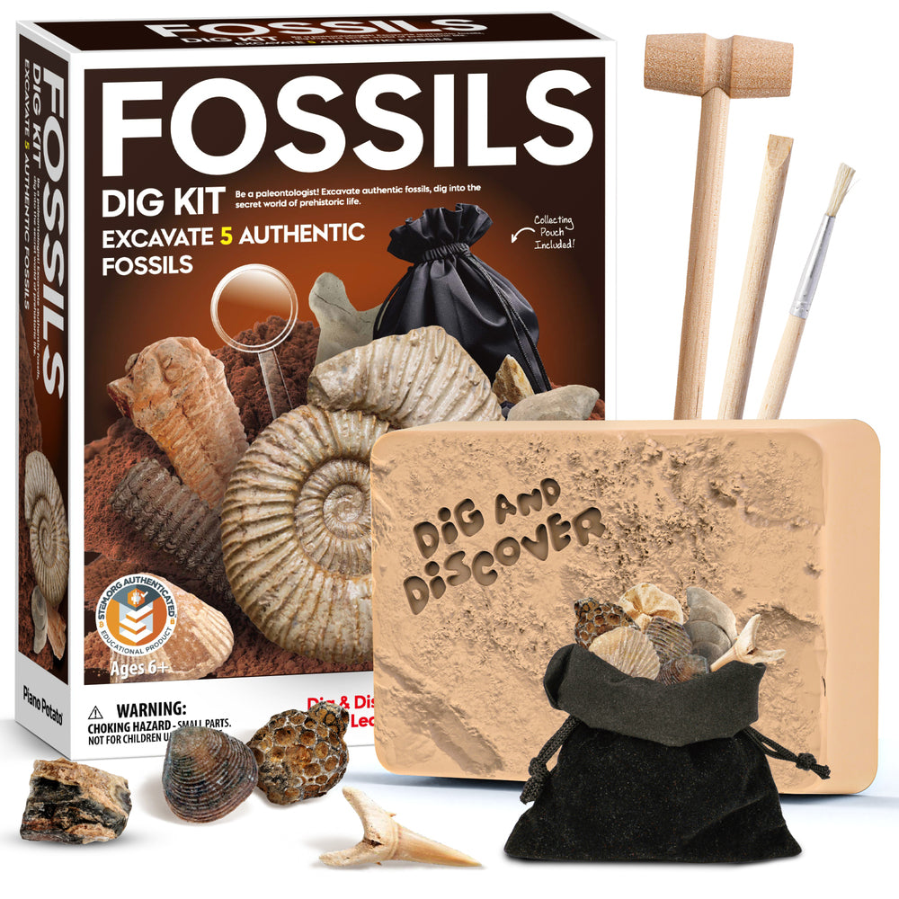 Fossil Dig Kit