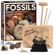 Fossil Dig Kit