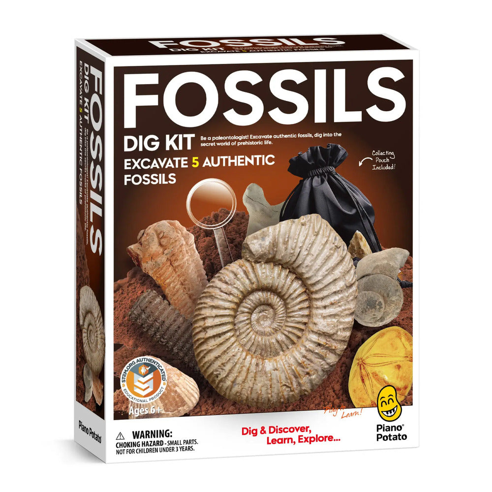 Fossil Dig Kit