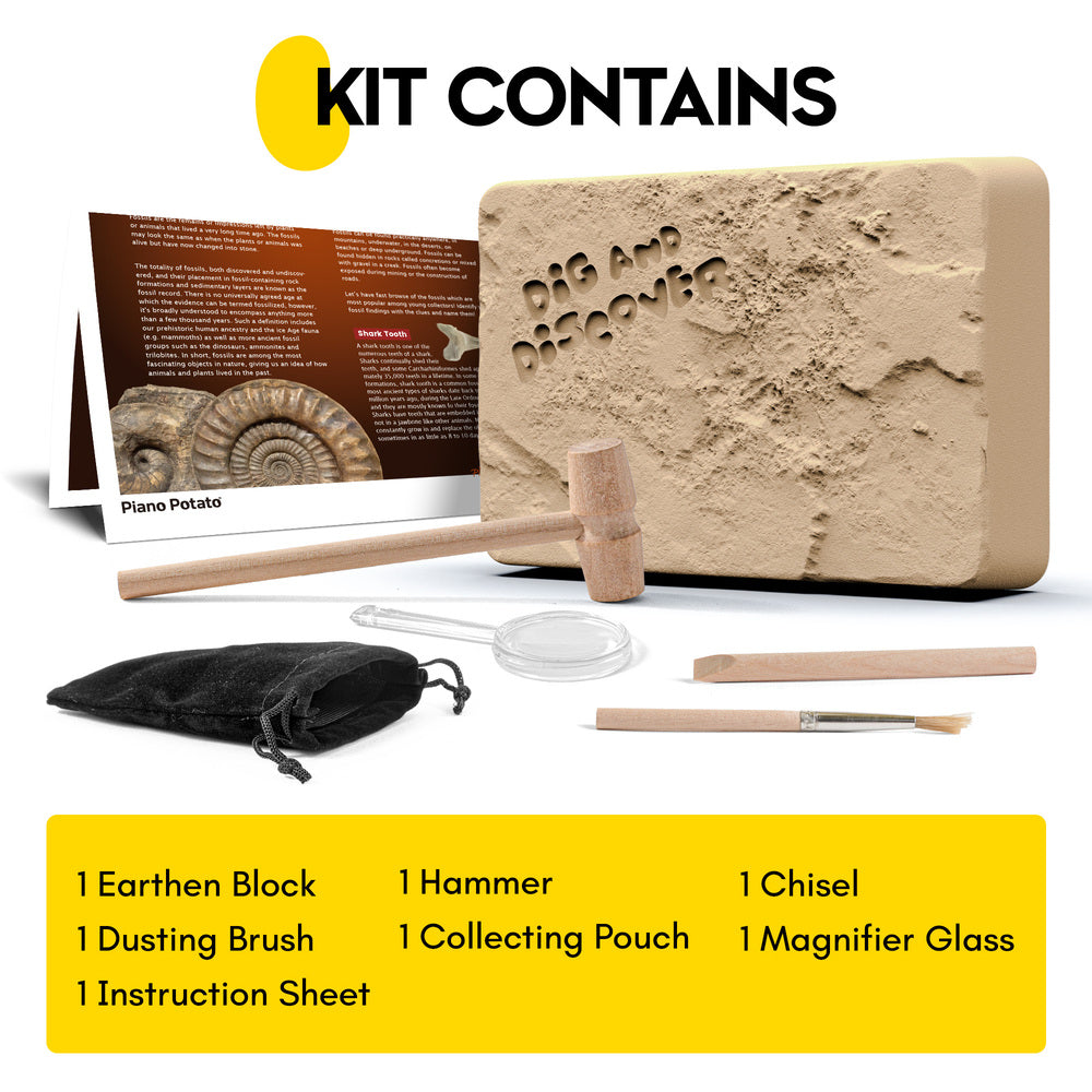 Fossil Dig Kit