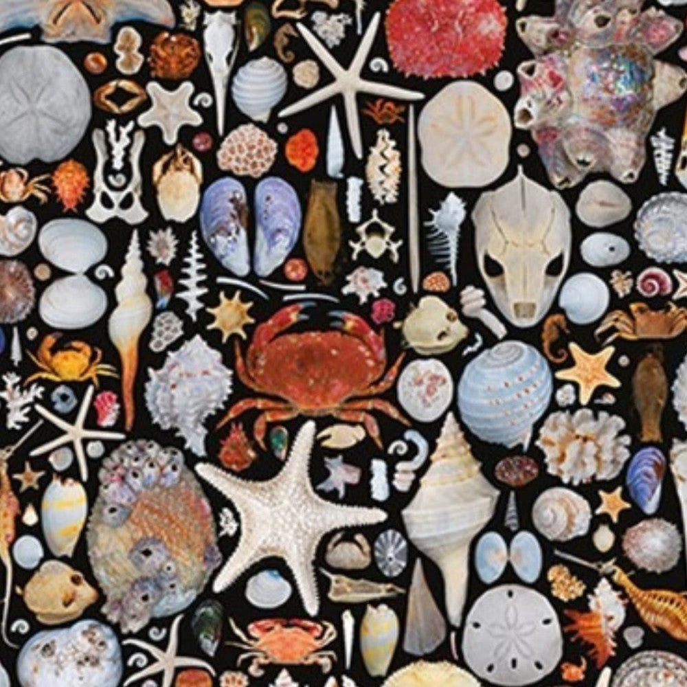 Puzzle - Piatnik - Seaside Goods 1000pc