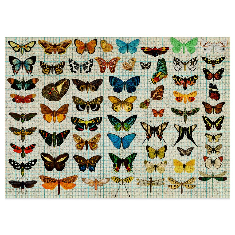 Puzzle - Cloudberries - Entomology 1000pc