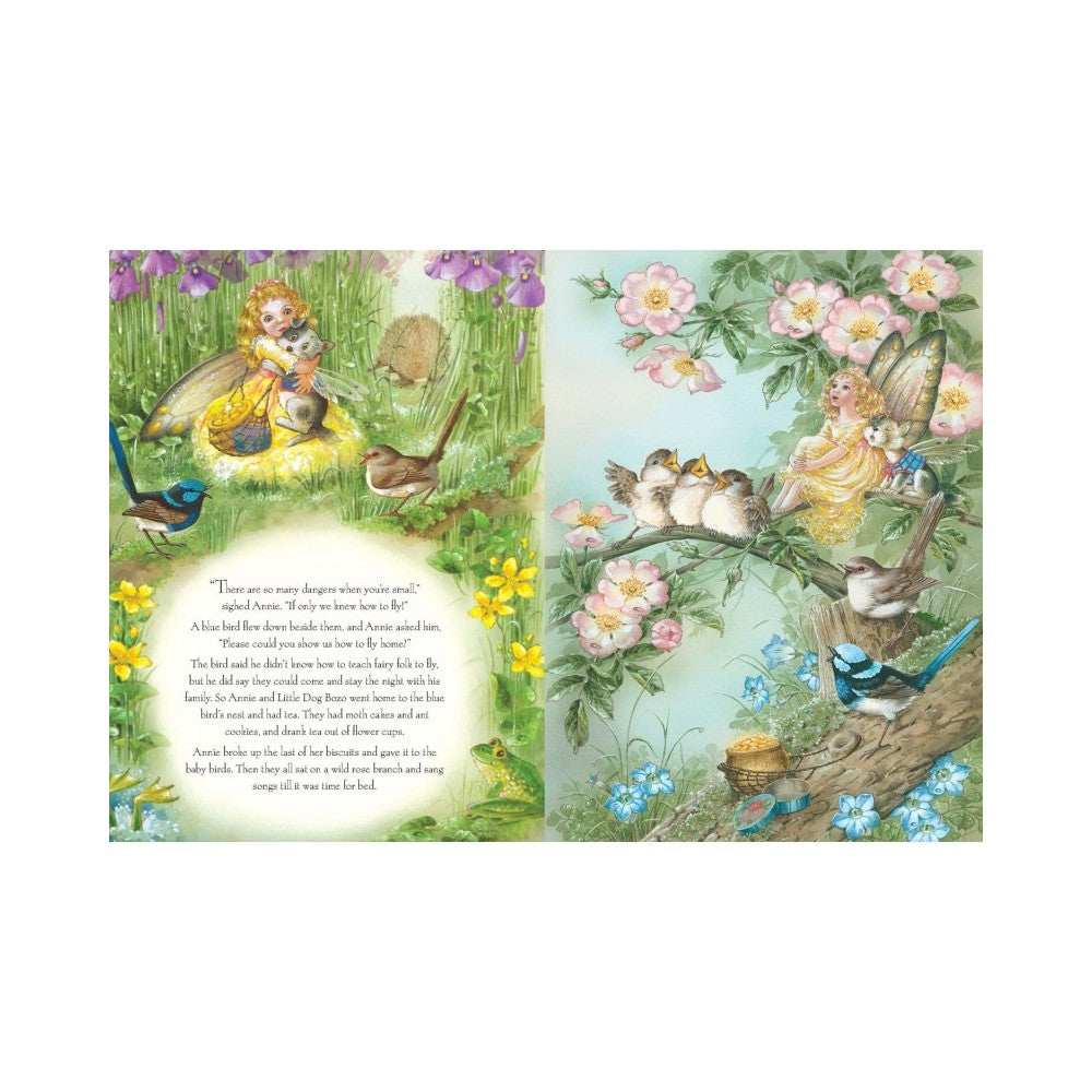 Rainbow Magic Paperback