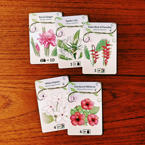 Origame: Oh My Orchids!