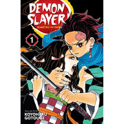 Demon Slayer: Kimetsu No Yaiba; Vol. 1:Demon Slayer: Kimetsu No Yaiba