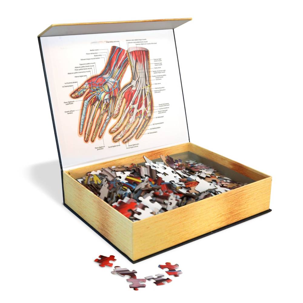 Dr. Livingston's Anatomy Jigsaw Puzzle: The Human Hands