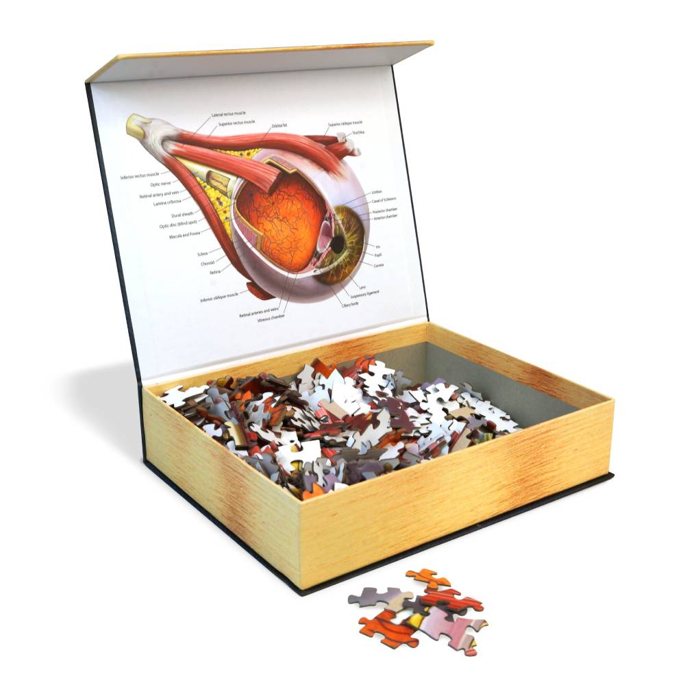 Dr. Livingston's Anatomy Jigsaw Puzzle: The Human Eye