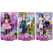 Barbie - Careers - Feature Career Doll Assortment (4)