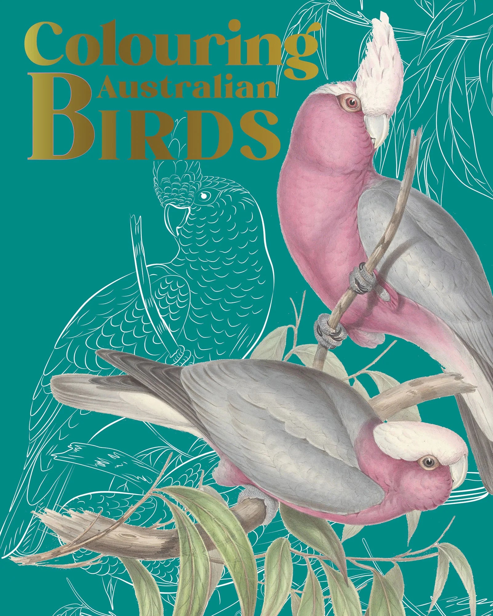 Colouring Australian Birds - Fifth Edition