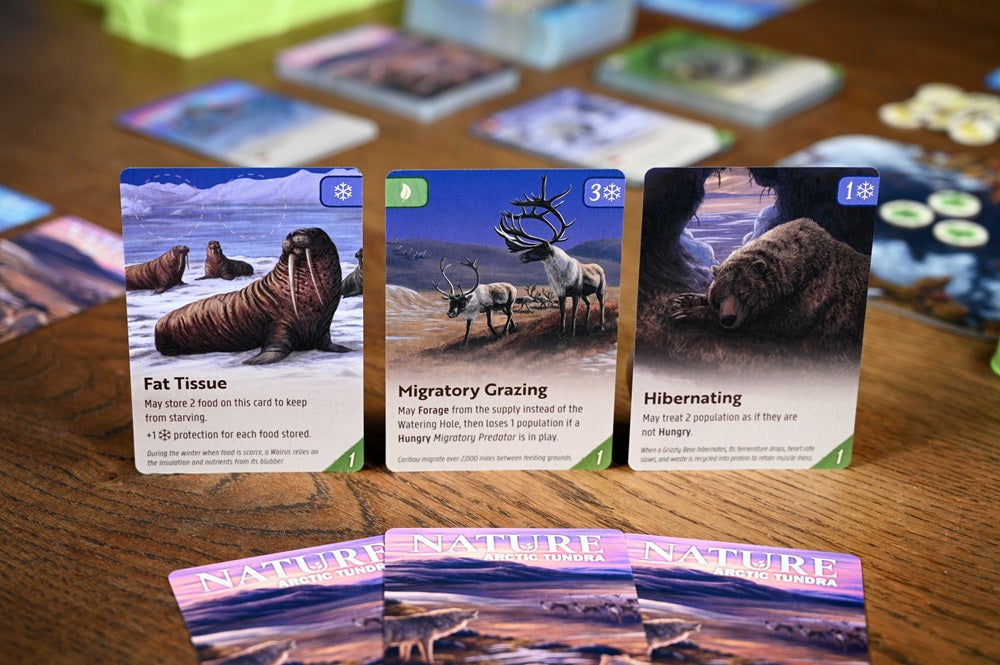 Nature - Module 4 - Arctic Tundra