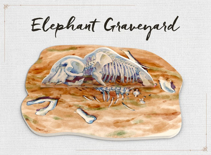 Nature - Elephant Graveyard Mini-Module