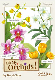 Origame: Oh My Orchids!